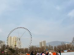 -西宁市人民公园(城西区)