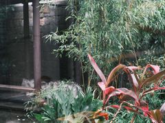 -Metal hands·铁手咖啡