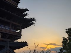 -杭州半山国家森林公园