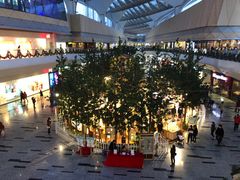 景观位-哈布斯扒房(华发商都店)