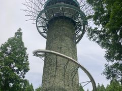 -黄海国家森林公园