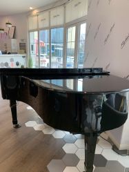 点击看大图 -巴黎拉斐派瑞美发沙龙