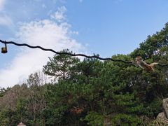 -宁波野生动物园