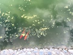 -金城公园
