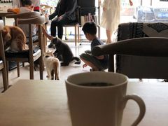 -平行世界·猫咖(首经贸店)