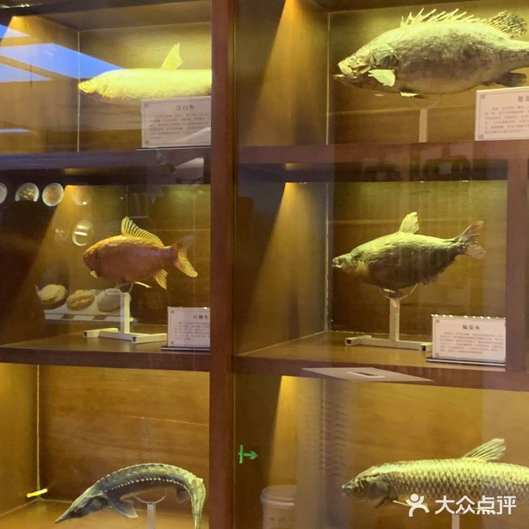 楼下的环境特别好很有特色，大多数都是关于鱼的标本
