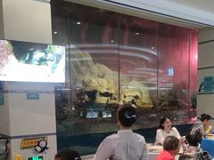 -帝企鹅自助餐厅•儿童岛•真企鹅(长隆企鹅酒店)