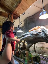 -Zoolung Zoolung动物主题公园(海信广场店)