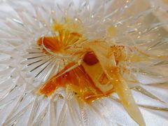 捞起鱼生-炳胜品味(海印总店)