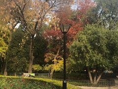 -唐城墙遗址公园