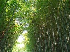 -同里国家湿地公园
