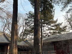 -潭柘寺景区