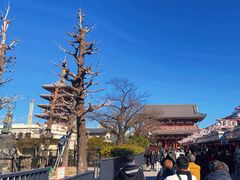 -浅草寺