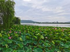-云龙湖旅游景区