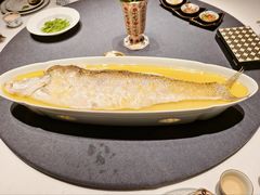 鸡油蒸大白条鱼-子福慧(虹桥店)