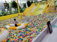 -南宫五洲植物乐园