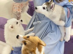 -怪兽屋·羊驼·猫咖·狗咖(俊华广场店)