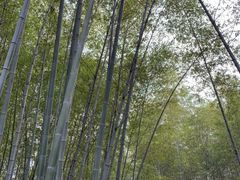 -青龙山国家森林公园
