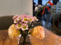 -gaga(深圳南山益田假日广场店)
