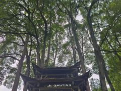 -青城山