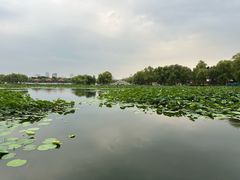 -长春市南湖公园