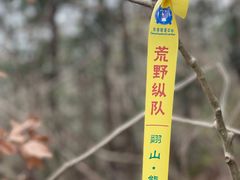 -素山寺森林公园