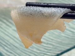 -孔庆璞河豚馆(白玉兰酒店)