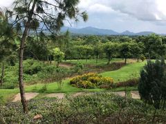-黄色小屋
