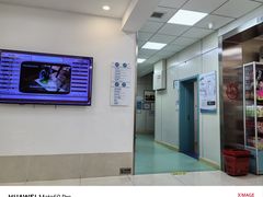 -北京观赏动物医院·24小时大型综合·猫专科·异宠专科