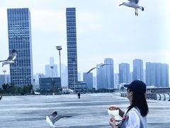 -东港音乐喷泉广场