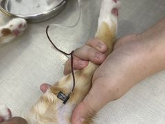 -拜鲁耶动物诊疗中心·宠家动物医院