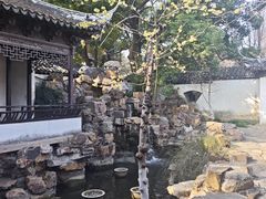 -常熟方塔园