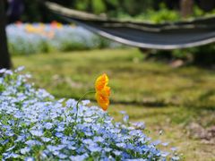 -上海滨江森林公园