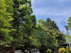 -贵州省植物园