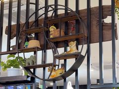 -来相会饺子·新辽菜(甘家口店)