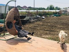 -小鱼草莓采摘园农家乐·小鱼餐厅