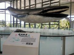 -中国（海南）南海博物馆