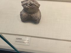 -广东中医药博物馆