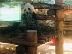 -西霞口神雕山野生动物世界