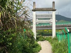 -马峦山郊野公园