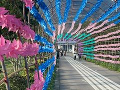 -苏州太湖西山岛开心农场