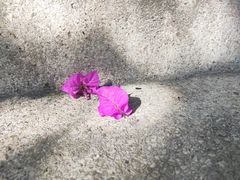 -生宇山珍野生菌汤锅•始于1999(双流古塔店)