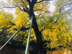 -无锡惠山寺