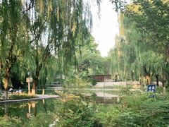 -西安市长乐公园
