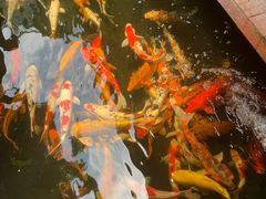 -侠成水上农庄(工业大道店)