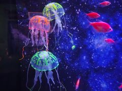 -常州海昌海洋探索馆