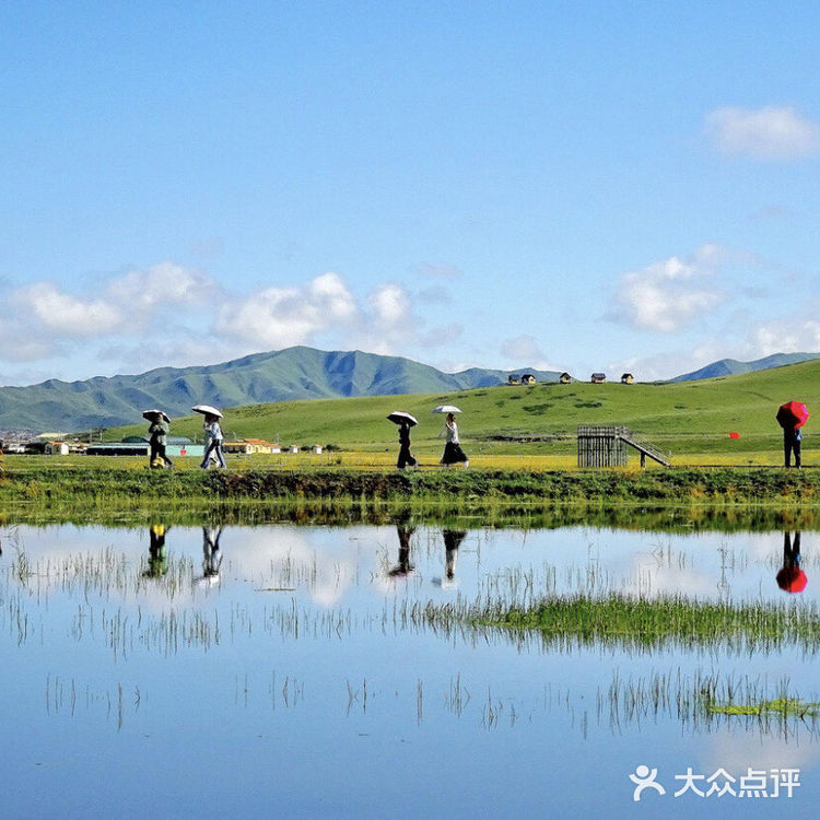 成都周边游[加油]夏季若尔盖大草原旅行