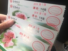 -南国桃园旅游度假区