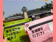 -东湖磨山景区樱花园-停车场