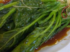 -眉州东坡(亚运村店)